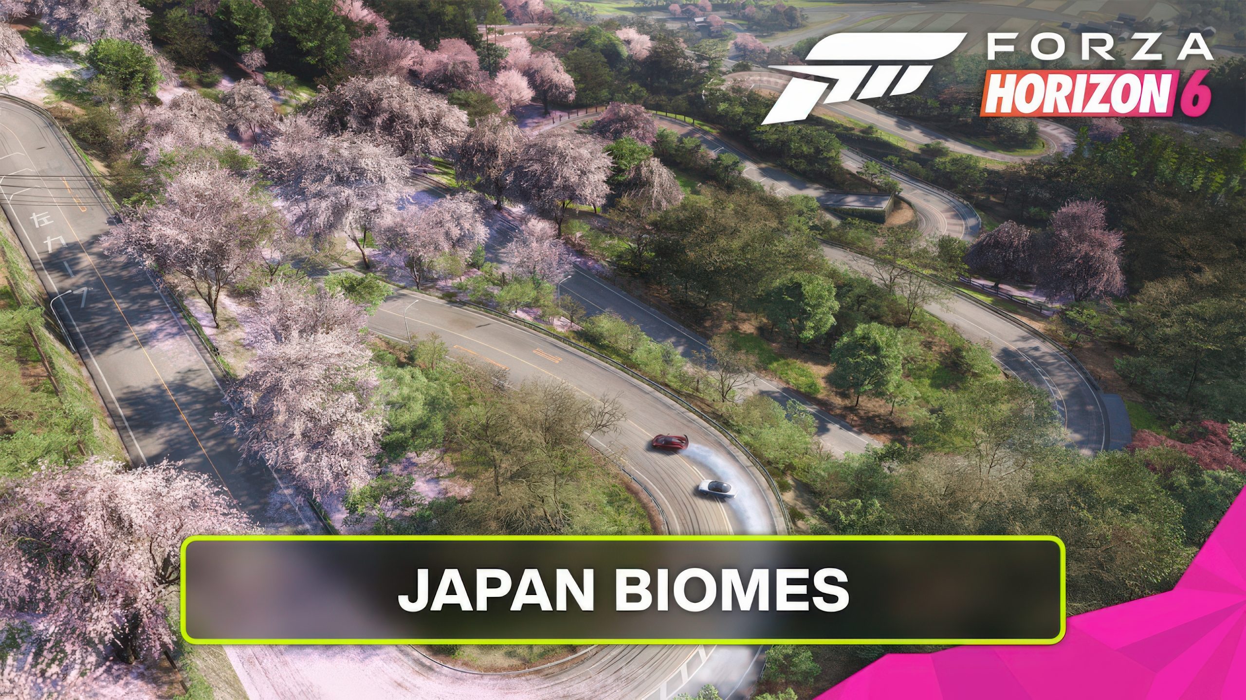 Forza Horizon 6’s Japan Biomes Trailer Reveals a Living, Breathing World