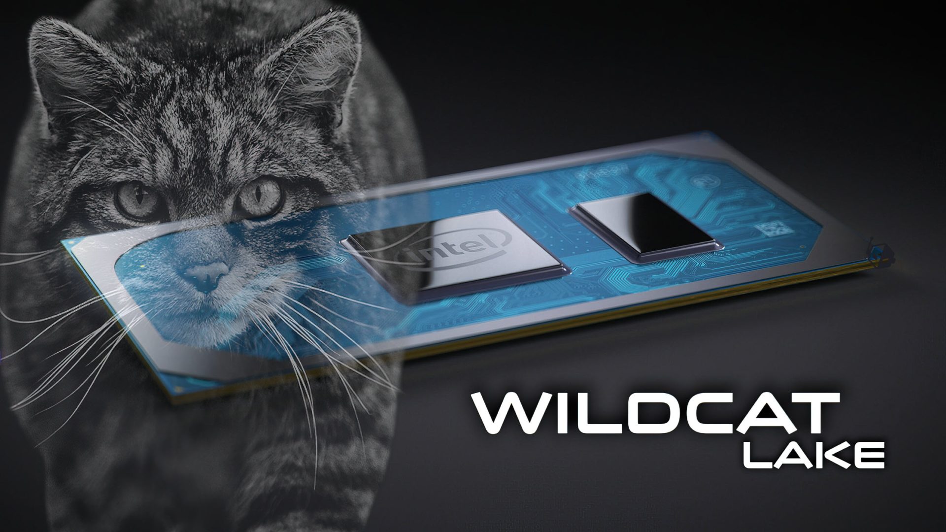 Intel Wildcat Lake Core i5-330: A Closer Look at Performance and Efficiency