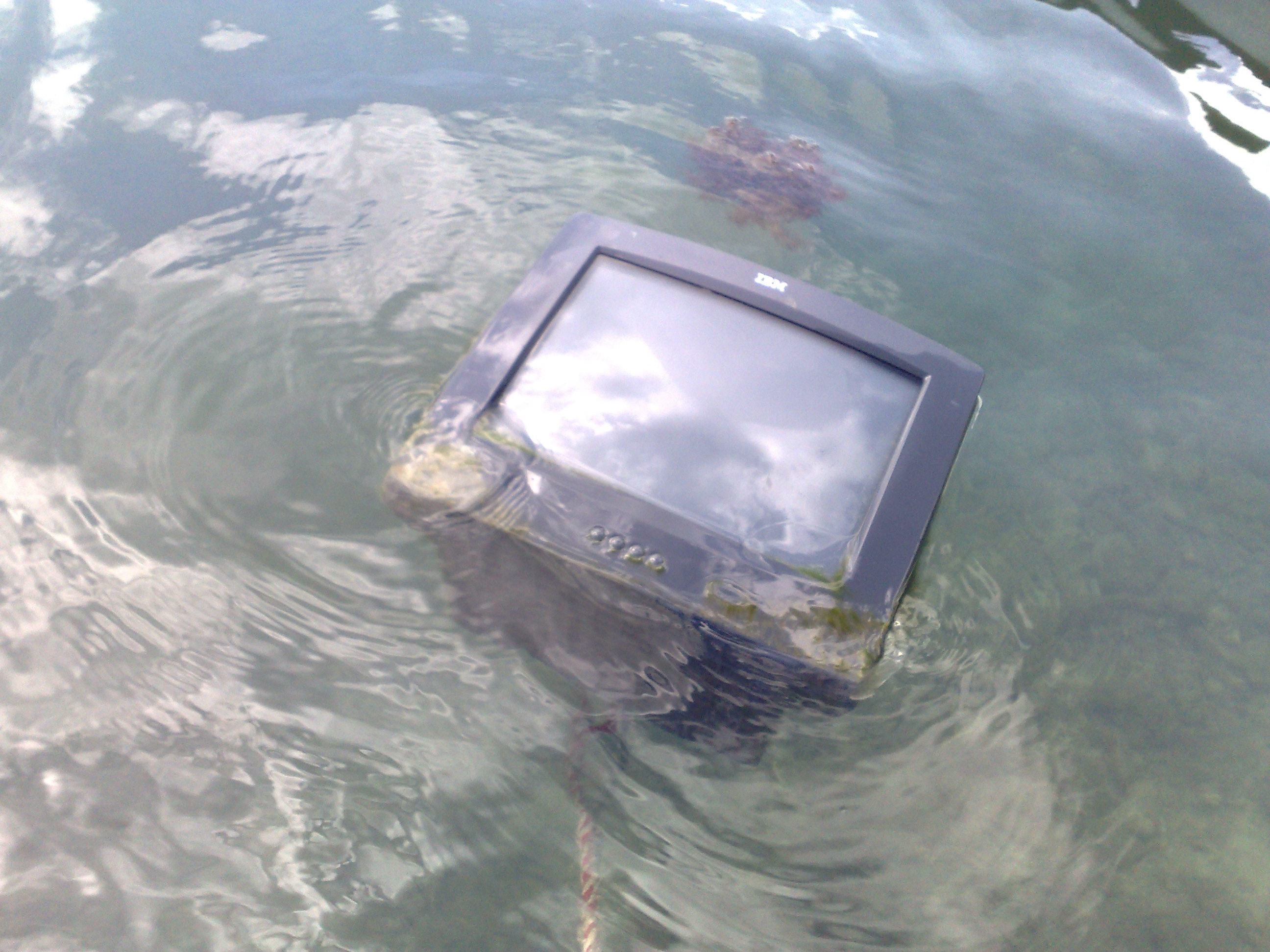 monitor