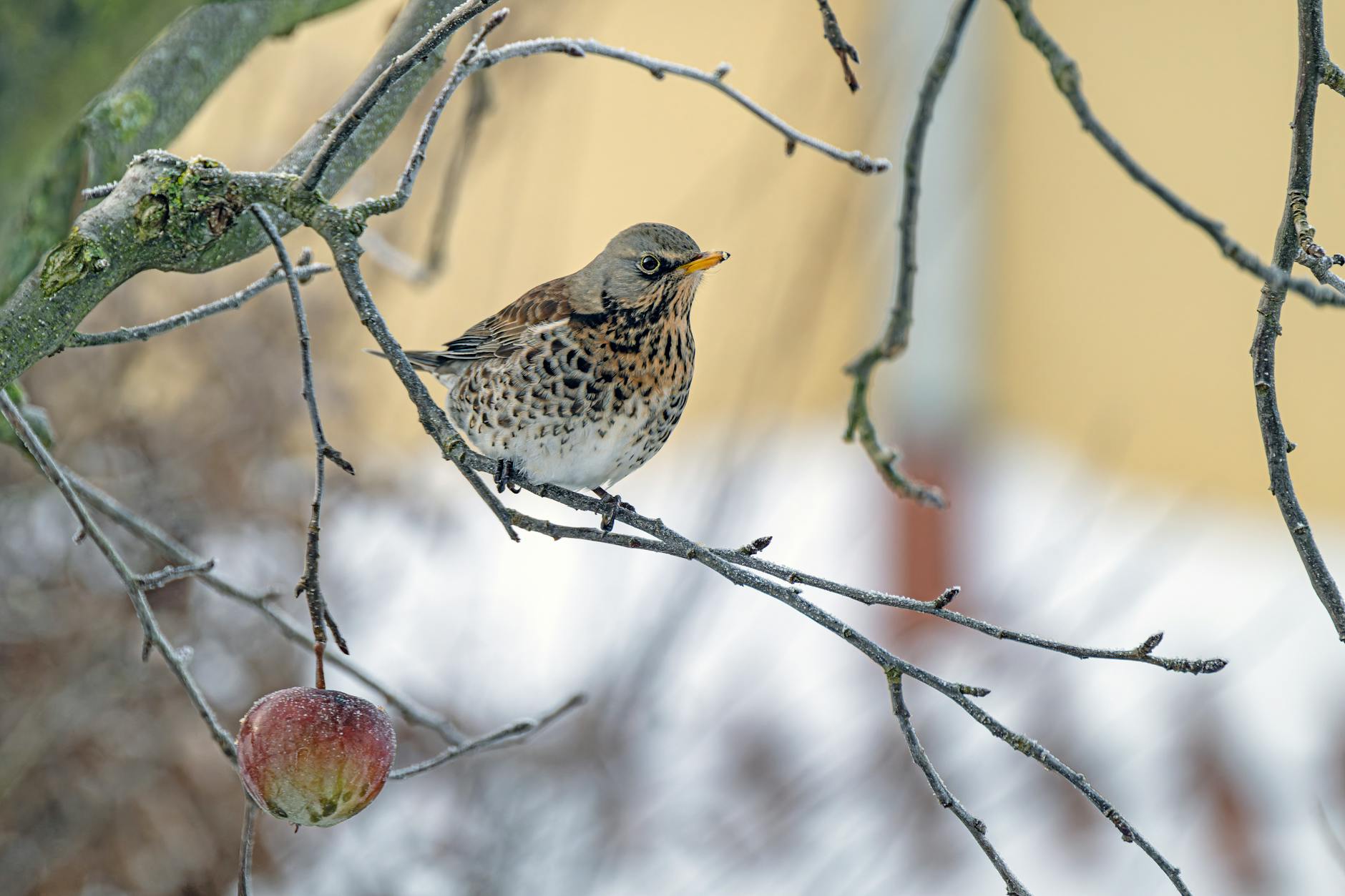 Bandcamp takes bold stance against AI-generated music