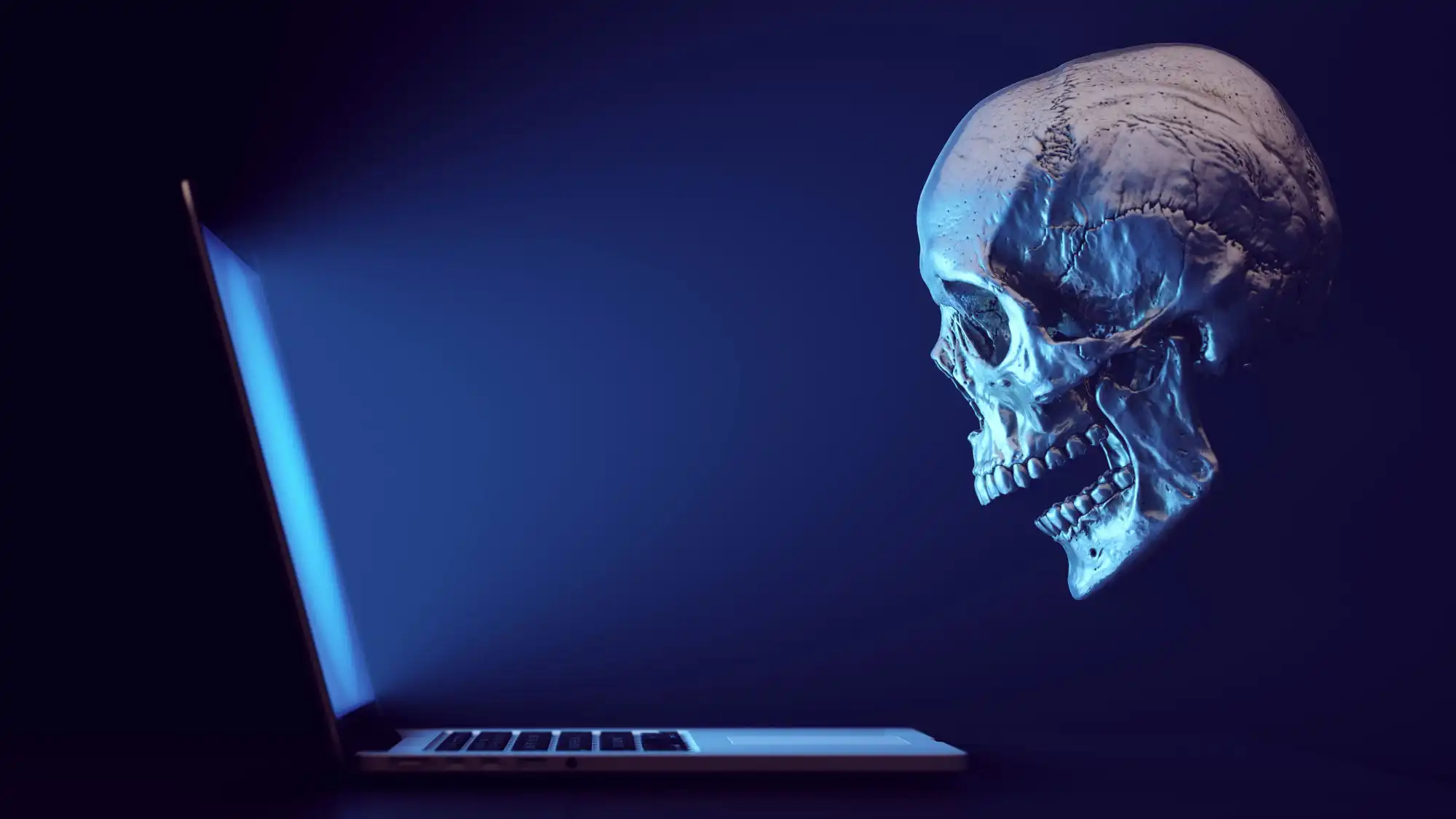 A Free Tool Offers Real-Time URL Safety Checks