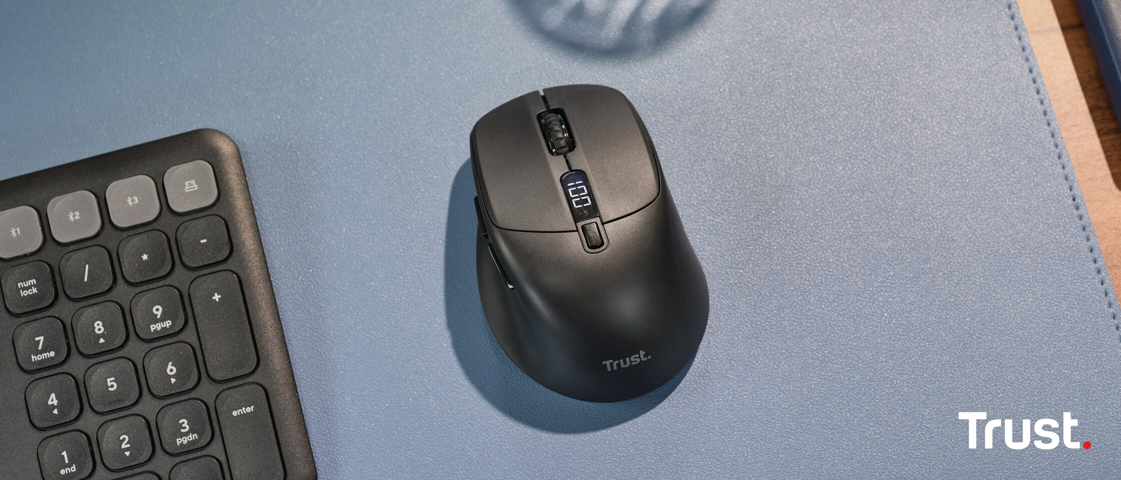 The Zevo: A Rechargeable Mouse That Challenges the Status Quo