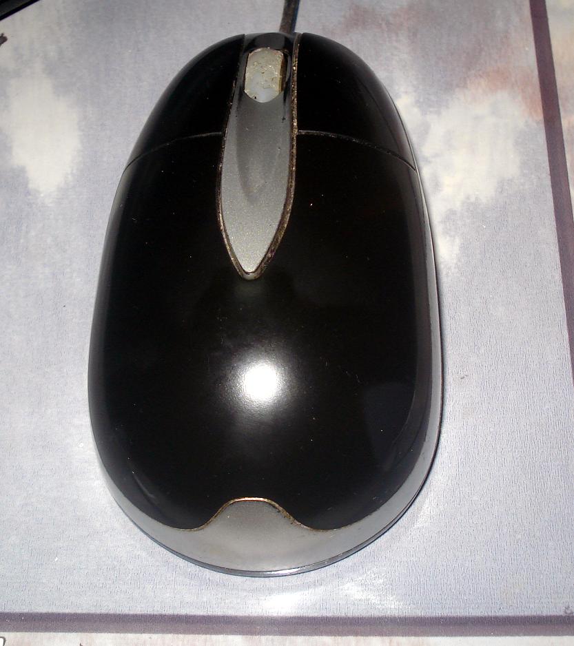 mouse