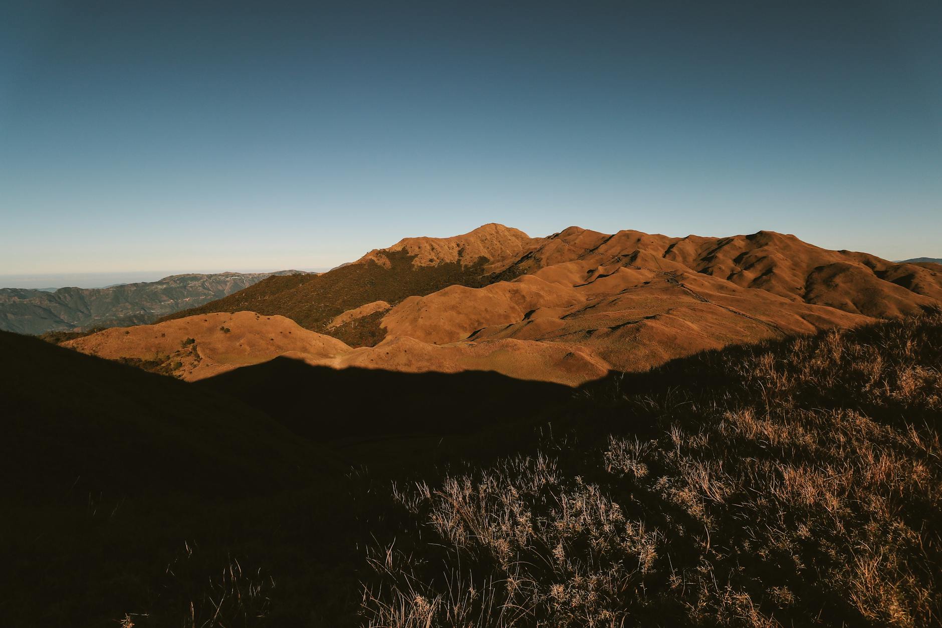 Diane Coyle at work with Apple laptop-9Oct2009